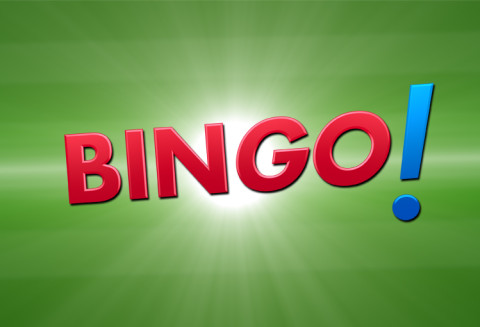 Bingo Umweltlotterie Lose Kaufen